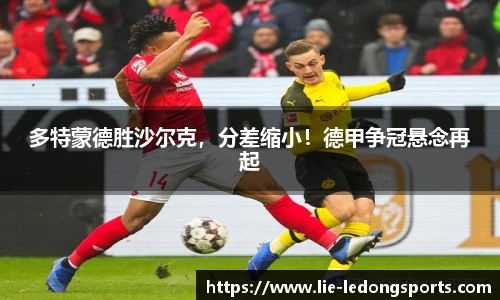 LDSports官网登录