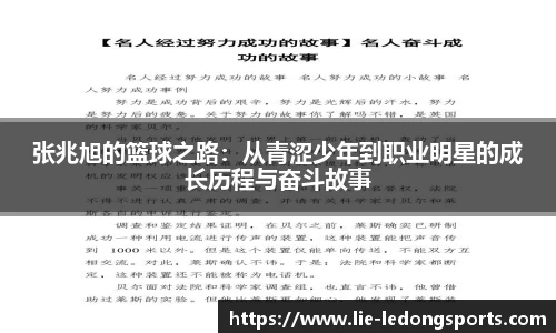 ld乐动体育中国登录入口