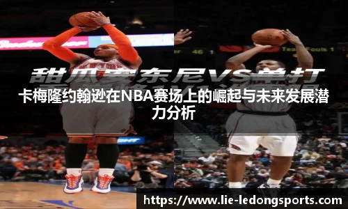 乐动体育LDSPORTS官方网